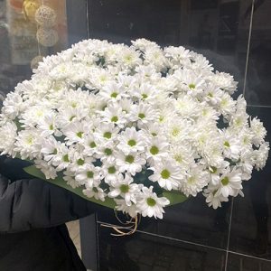 большой букет белых хризантем фото