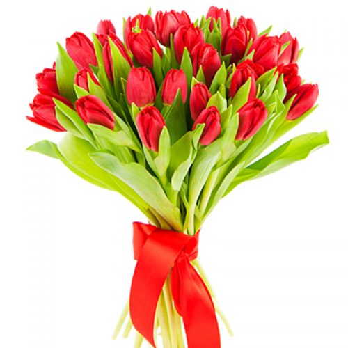 Фото товара 25 красных тюльпанов в Белгород-Днестровском