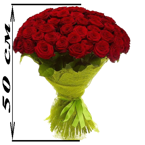 Фото товара 101 красная роза (50см) в Белгород-Днестровском