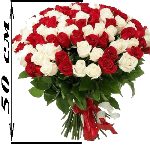 Фото товара 101 роза микс красная и белая (50 см) в Белгород-Днестровском