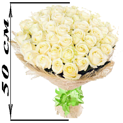 Фото товара 51 белая роза (50 см) в Белгород-Днестровском