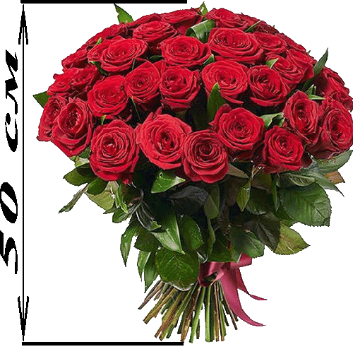 Фото товара 51 красная роза (50см) в Белгород-Днестровском