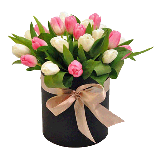 Фото товара 25 тюльпанов в коробке в Белгород-Днестровском