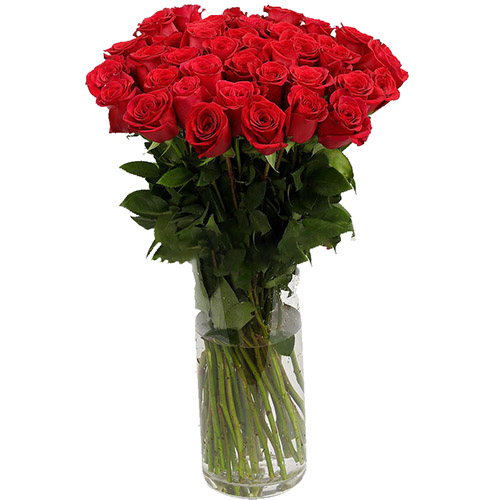 фото товара Троянда імпортна червона (поштучно) | «Букетик Білгород»