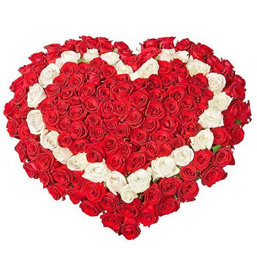 Фото товара 101 роза сердцем - красная, белая, красная в Белгород-Днестровском