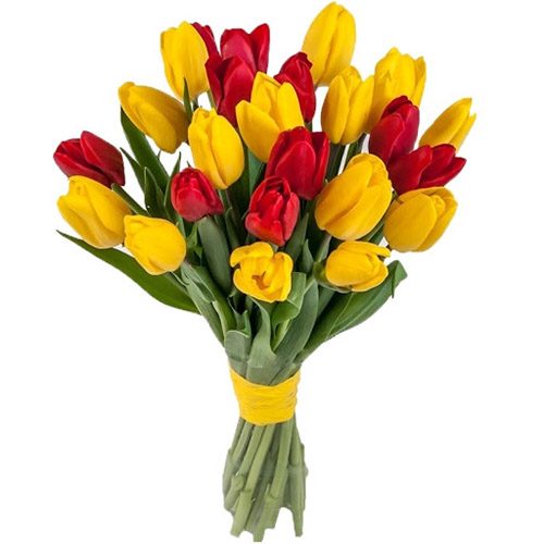 Фото товара 15 красно-жёлтых тюльпанов (с лентой) в Белгород-Днестровском