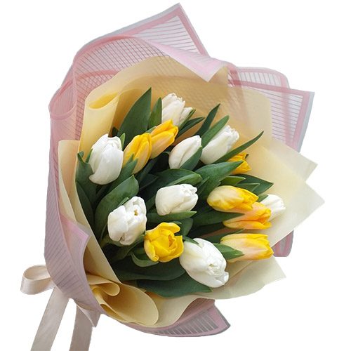 Фото товара 15 бело-жёлтых тюльпанов в Белгород-Днестровском