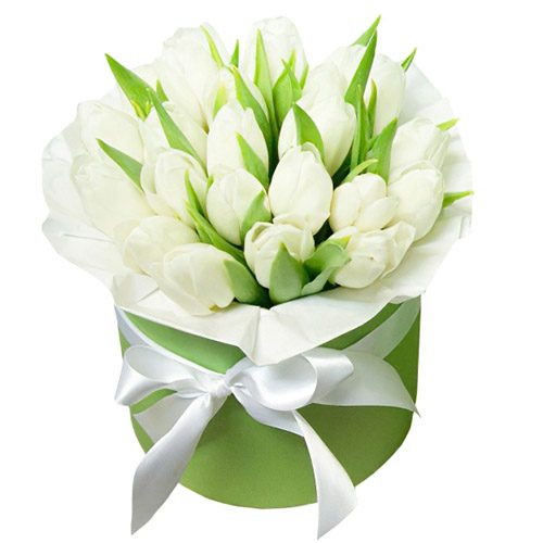 Фото товара 21 белый тюльпан в коробке в Белгород-Днестровском