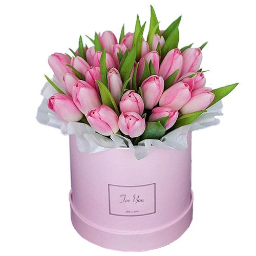 Фото товара 31 нежно-розовый тюльпан в коробке в Белгород-Днестровском