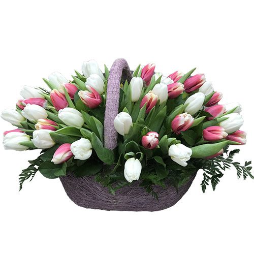 Фото товара 51 бело-розовый тюльпан в корзине в Белгород-Днестровском