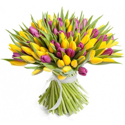 Фото товара 75 фиолетово-жёлтых тюльпанов в Белгород-Днестровском