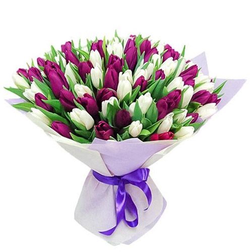 Фото товара 75 пурпурно-белых тюльпанов в Белгород-Днестровском