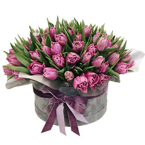 Фото товара 101 пурпурный тюльпан в коробке в Белгород-Днестровском