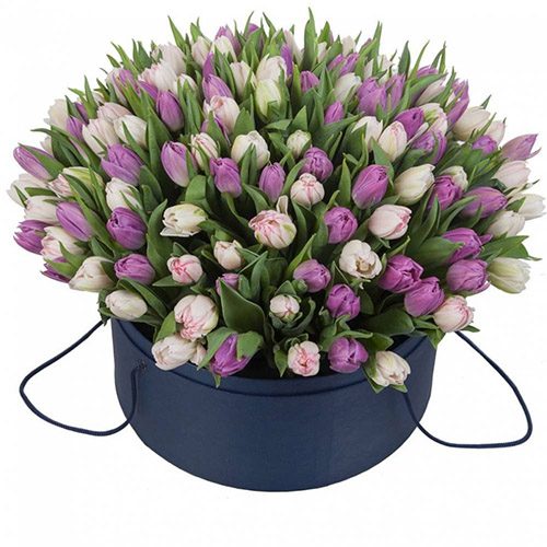 Фото товара 201 тюльпан (два цвета) в коробке в Белгород-Днестровском