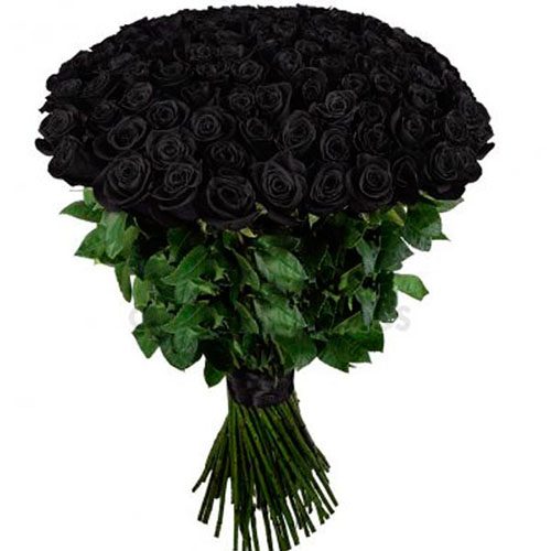 Фото товара 101 черная роза в Белгород-Днестровском