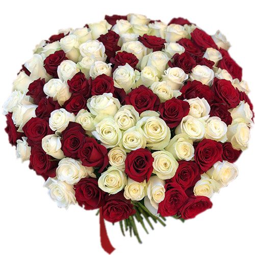 Фото товара 101 красная и белая роза в Белгород-Днестровском