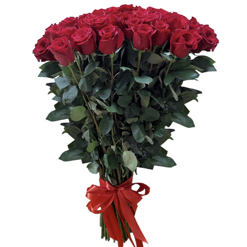 Фото товара 51 роза "Фридом" метровая в Белгород-Днестровском