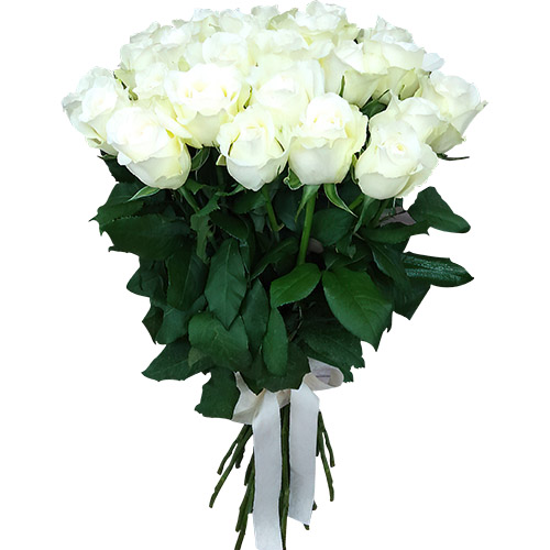 Фото товара 25 белых роз в Белгород-Днестровском
