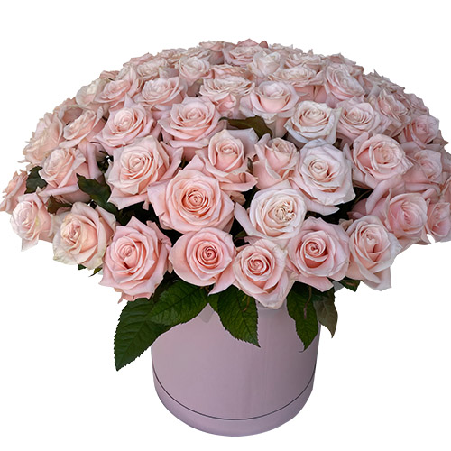 Фото товара 101 розовая роза в коробке в Белгород-Днестровском