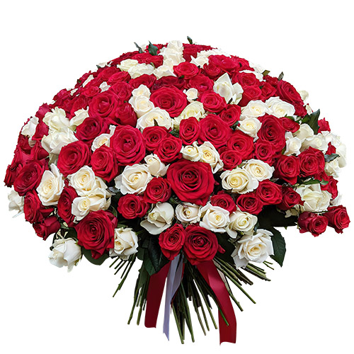 Фото товара 201 красная и белая роза в Белгород-Днестровском