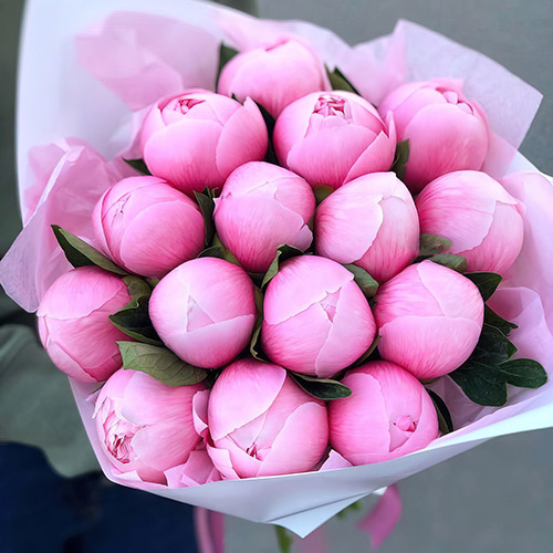 Фото товара 15 розовых пионов в Белгород-Днестровском