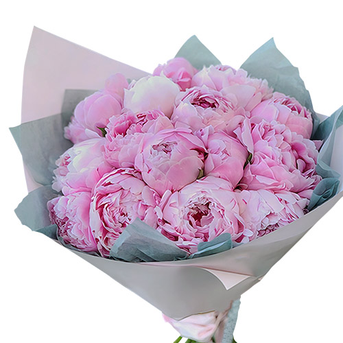 Фото товара 19 розовых пионов в Белгород-Днестровском