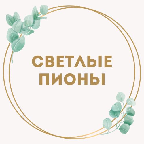 категория товаров Светлые пионы | «Букетик Белгород»