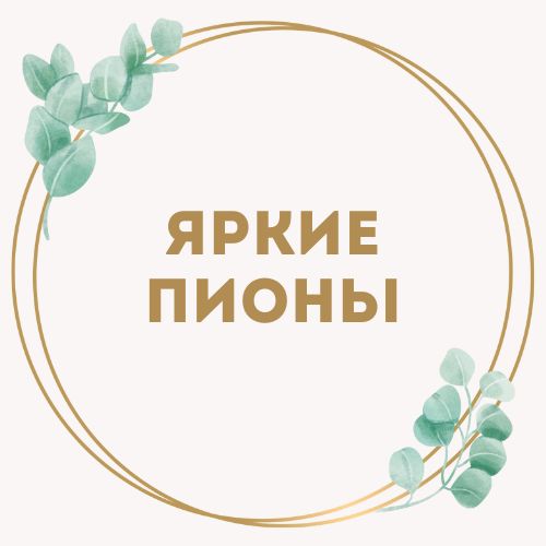 категория товаров Яркие пионы | «Букетик Белгород»