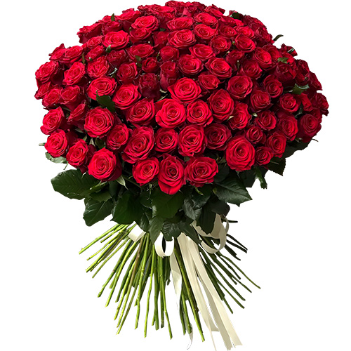 Фото товара 101 троянда червона в Белгород-Днестровском