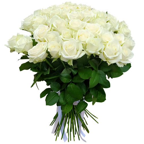 Фото товара 51 троянда біла в Белгород-Днестровском