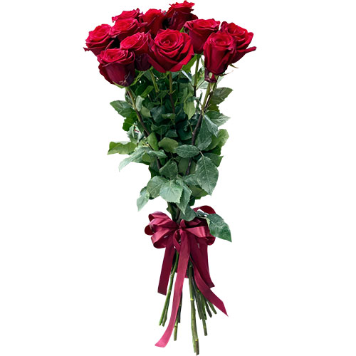 Фото товара 11 метровых роз в Белгород-Днестровском