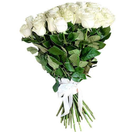 Фото товара 33 білі троянди в Белгород-Днестровском