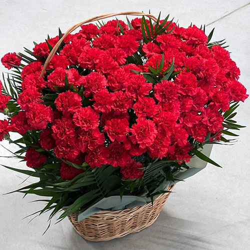 Фото товара 100 гвоздик у кошику в Белгород-Днестровском
